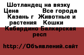 Шотландец на вязку › Цена ­ 1 000 - Все города, Казань г. Животные и растения » Кошки   . Кабардино-Балкарская респ.